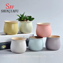 Ceramic Macaron Color Fleshy Plant Small Pots Flowerpot