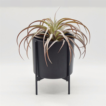 Black Iron Bracket Four Leg Support Match with Black Ceramic Flowerpot Planter Pot